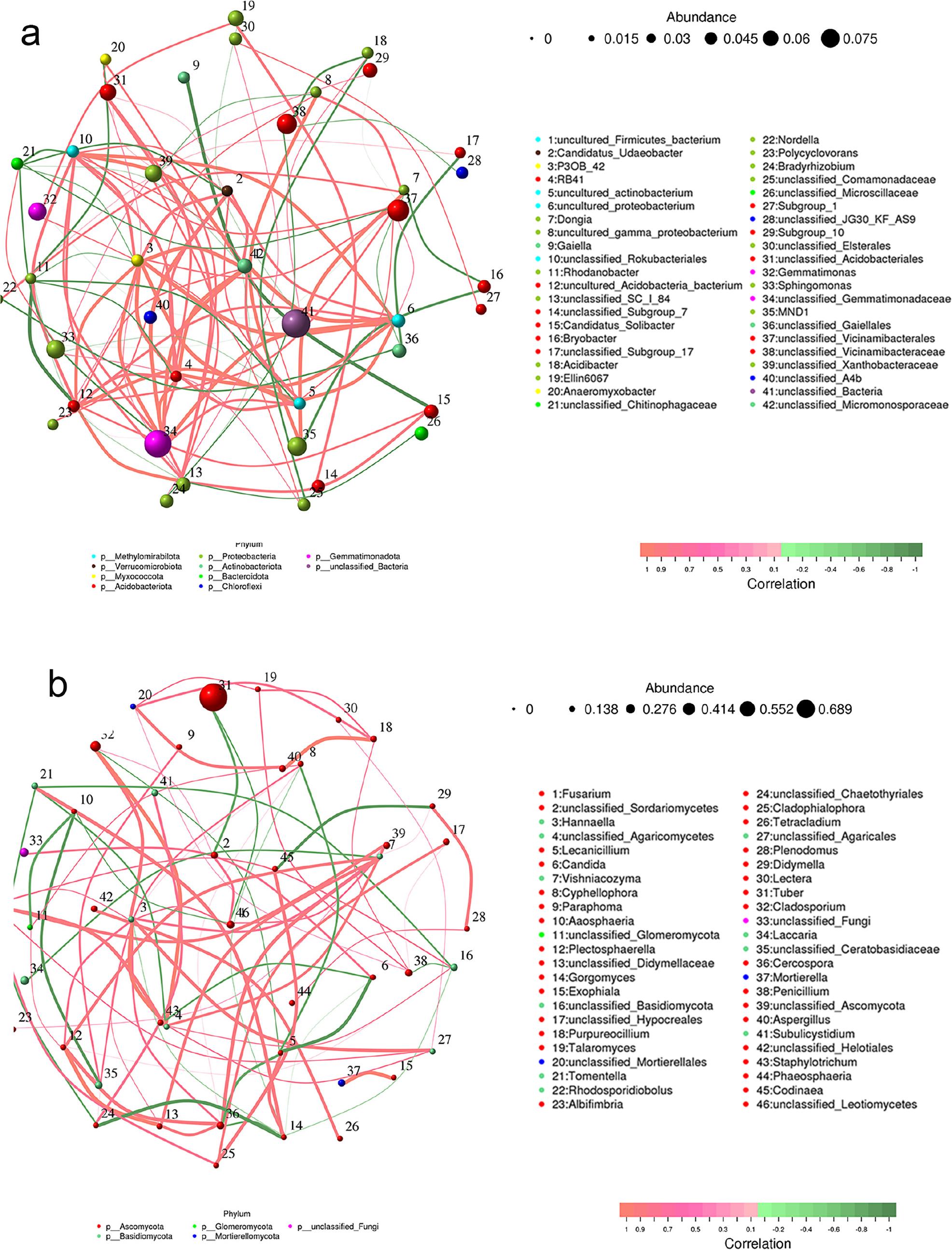 Topological profiling of bacterial (a) and fungal (b) symbiont networks.
The circle represents the species, and the size of the circle represents the average abundance of the species; line represents the correlation between the two species, the thickness of the line represents the strength of the correlation, the color of the line: red represents a positive correlation, green represents a negative correlation.