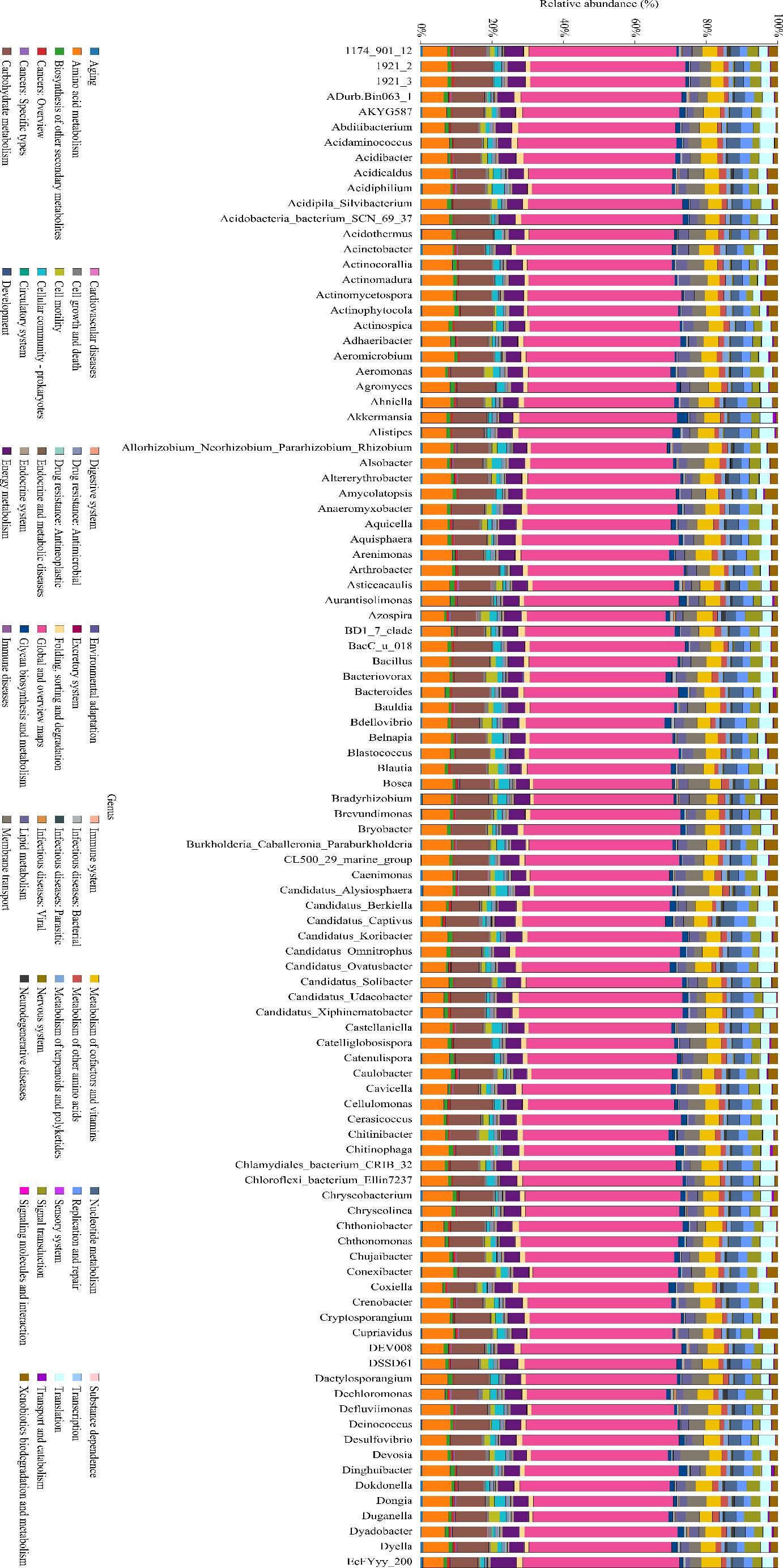 KEGG metabolic pathway histogram.