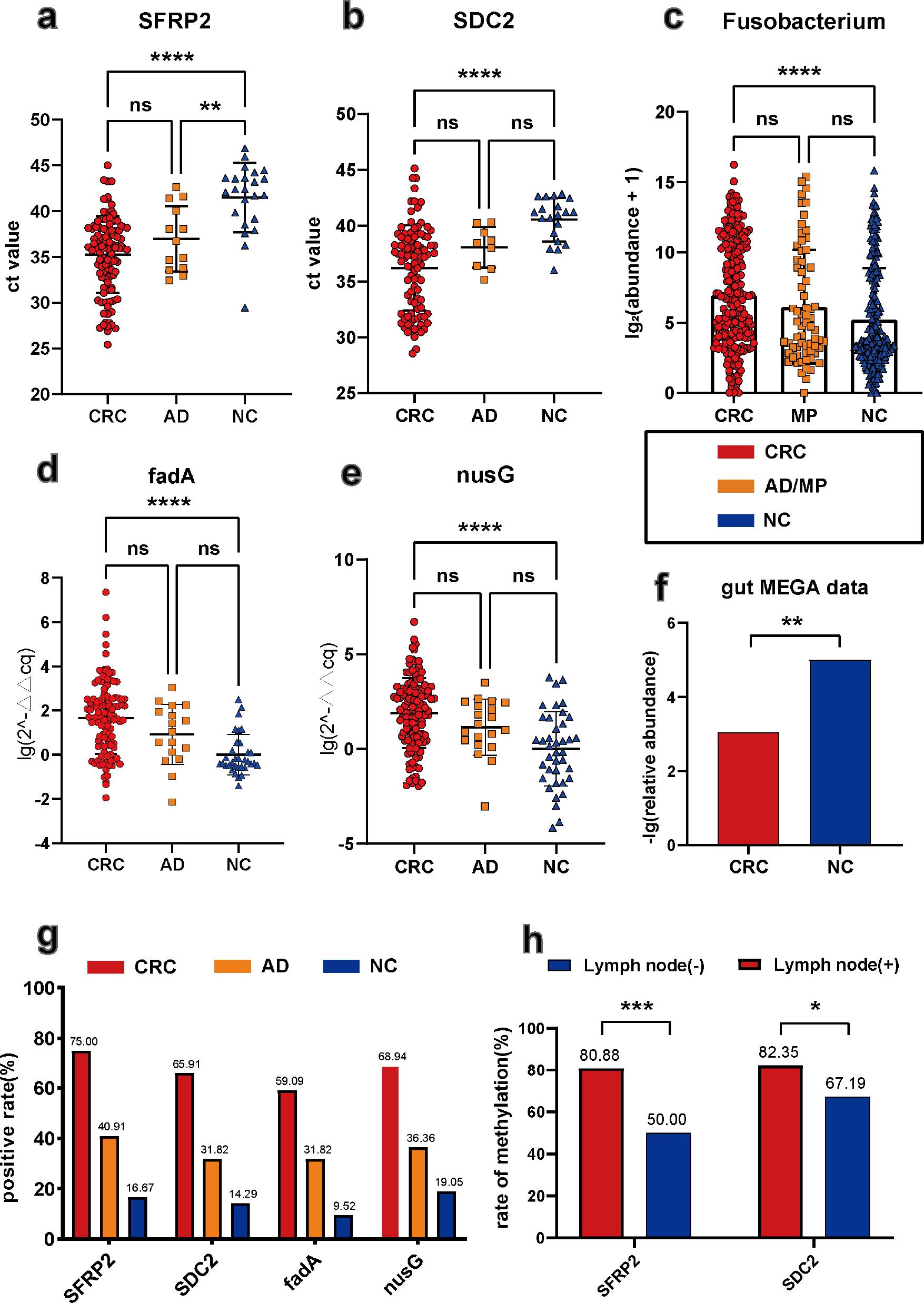 Detection of DNA methylation markers and Fusobacterium nucleatum (Fn) markers in stool samples.
Methylation levels of SFRP2 (a) and SDC2 (b). Relative abundance of Fusobacterium in stool samples based on the data from Yachida et al. (2019) (c). Relative expression levels of the fadA (d) and nusG (e) genes in fecal samples from NC, AD, and CRC. Fn relative abundance in stool samples was analyzed using the gutMEGA database (f). Proportion of positive occurrences of SFRP2, SDC2, fadA, and nusG in fecal samples (g). Association between lymph node metastasis and methylation of SFRP2 and SDC2 (h). * p < 0.05; ** p < 0.01; *** p < 0.001; **** p < 0.0001