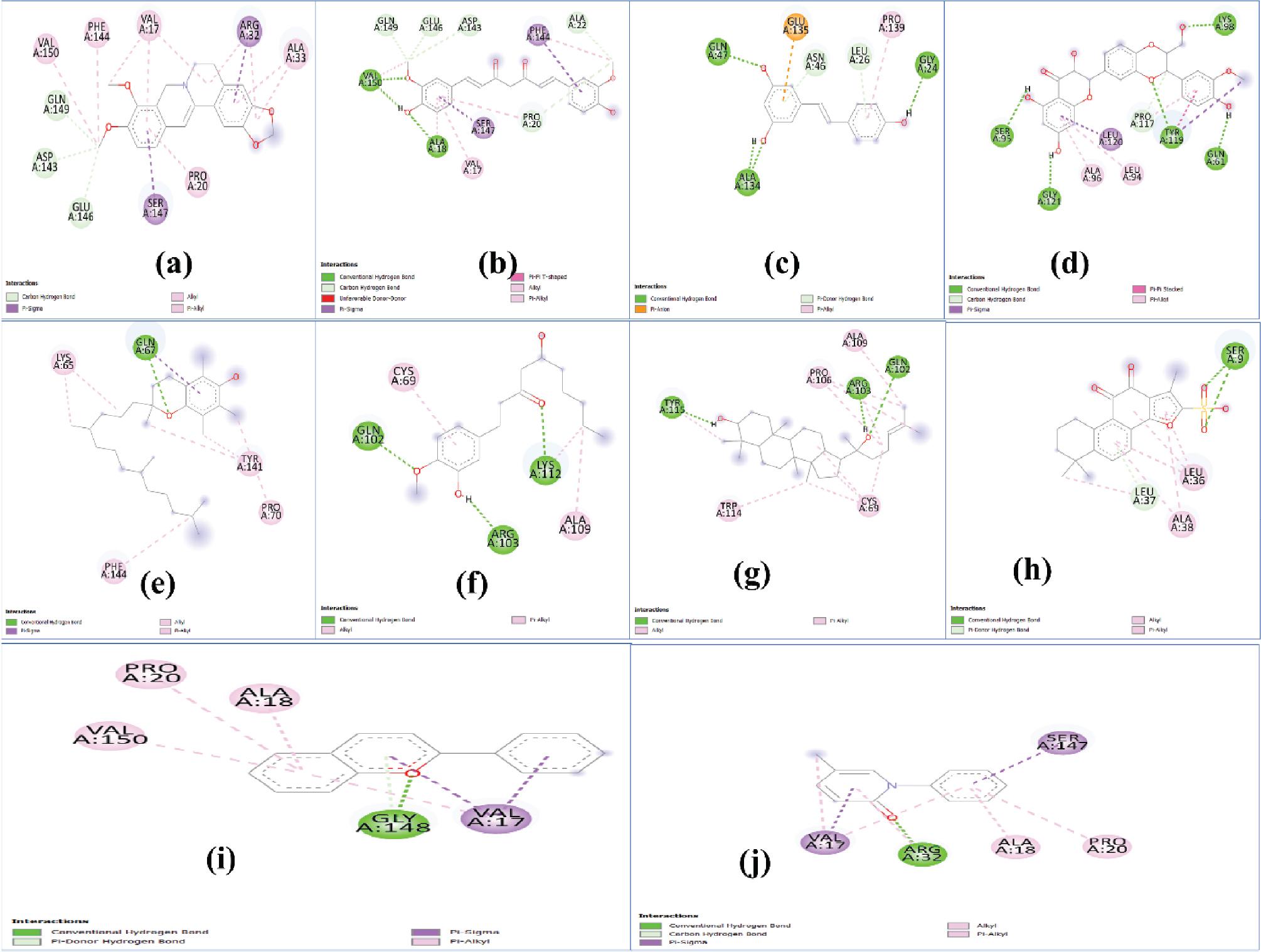 2D interaction plots of (a) berberine, (b) curcumin, (c) resveratrol, (d) silymarin, (e) tocopherol, (f) ginger, (g) ginseng, (h) danshen, (i) anthocyanin, and (j) pirfenidone with TNF-α. TNF-α, tumor necrosis factor-alpha.