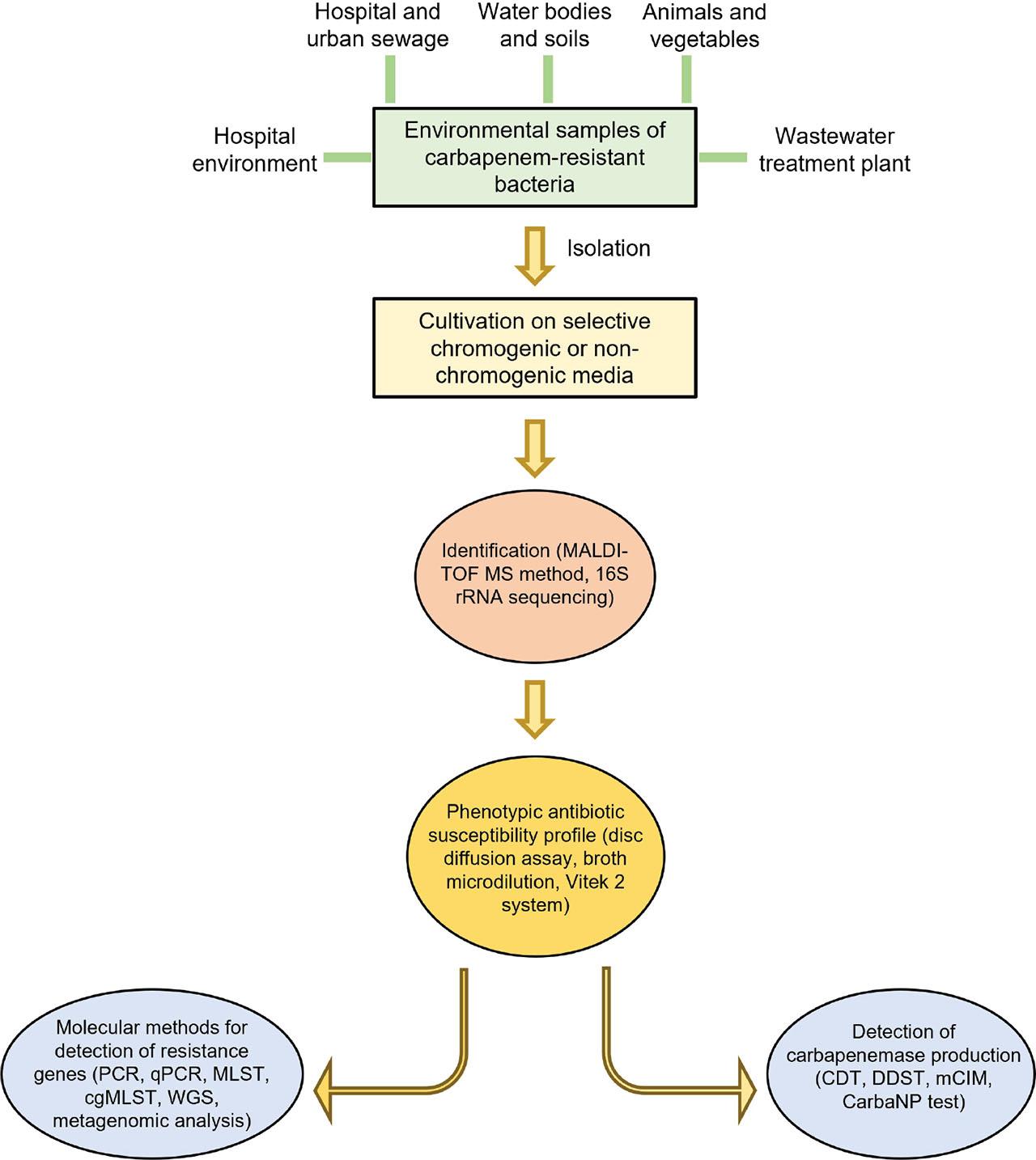 Recommended protocol for the detection and characterisation of CRB from the environment