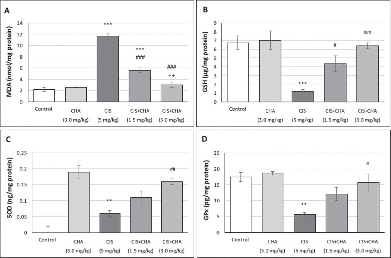 Effects of CHA (1.5 and 3 mg/kg) on OS parameters in a CIS-induced testicular toxicity rat model. Data are presented as means ± SEM. **p<0.01 and ***p<0.001 – significant difference from control; #p<0.05, ##p<0.01, and ###p<0.001 – significant difference from the CIS alone group; ++p<0.01 – significant difference from the CIS+CHA (1.5 mg/kg) group. CHA – chlorogenic acid; CIS – cisplatin; GPx – glutathione peroxidase; GSH – reduced glutathione; MDA – malondialdehyde; OS – oxidative stress; SEM – standard error of the mean; SOD – superoxide dismutase