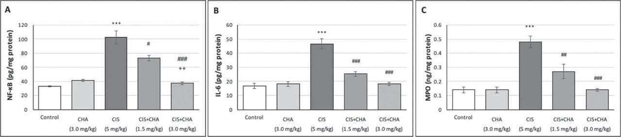Effects of CHA (1.5 and 3 mg/kg) on inflammation parameters in a CIS-induced testicular toxicity rat model. Data are presented as means ± SEM. ***p<0.001 – significant difference from control; #p<0.05, ##p<0.01 and ###p<0.001 – significant difference from the CIS alone group; ++p<0.01 – significant difference from the CIS+CHA (1.5 mg/kg) group. CHA – chlorogenic acid; CIS – cisplatin; IL-6 – interleukin-6; MPO – myeloperoxidase; NF-κB – nuclear factor kappa B; SEM – standard error of the mean