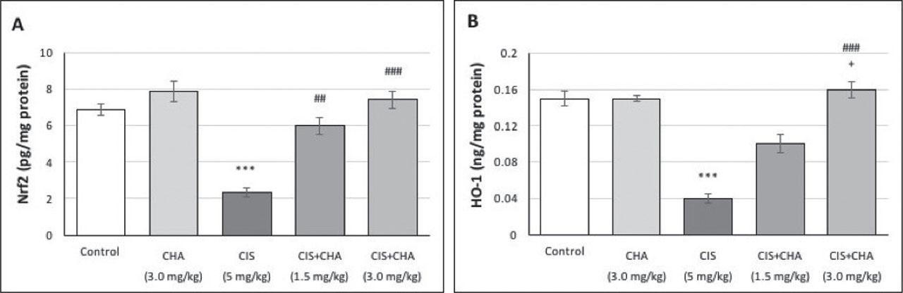 Effects of CHA (1.5 and 3 mg/kg) on the Nrf2/HO-1 pathway in a CIS-induced testicular toxicity rat model. Data are presented as means ± SEM. ***p<0.001 – significant difference from control; ##p<0.01 and ###p<0.001 – significant difference from the CIS alone group; +p<0.05 – significant difference from the CIS+CHA (1.5 mg/kg) group. CHA – chlorogenic acid; CIS – cisplatin; HO-1 – haem oxygenase-1; Nrf2 – nuclear factor erythroid 2-related factor 2; SEM – standard error of the mean
