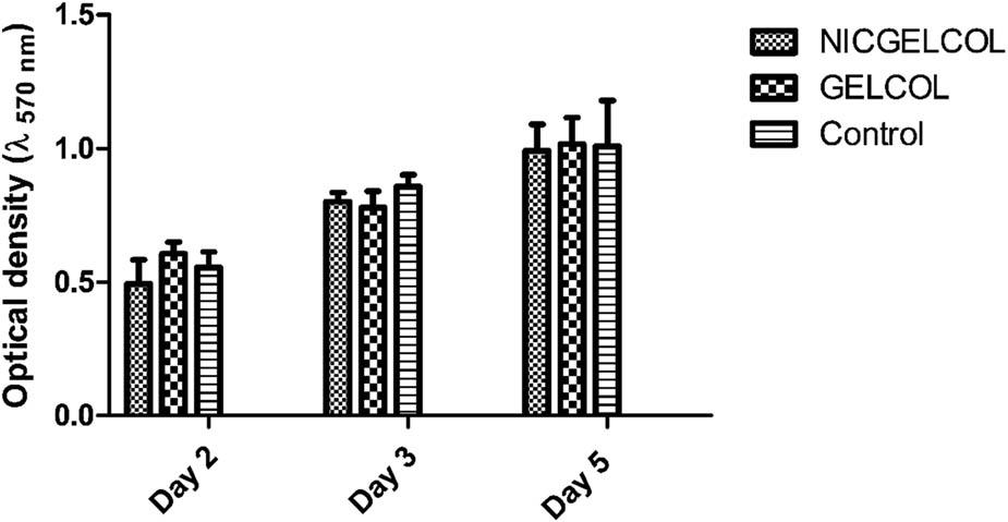 MTT assay with L929 cells cultured on NICGELCOL and GELCOL scaffolds during 5 days of culture on the scaffolds.