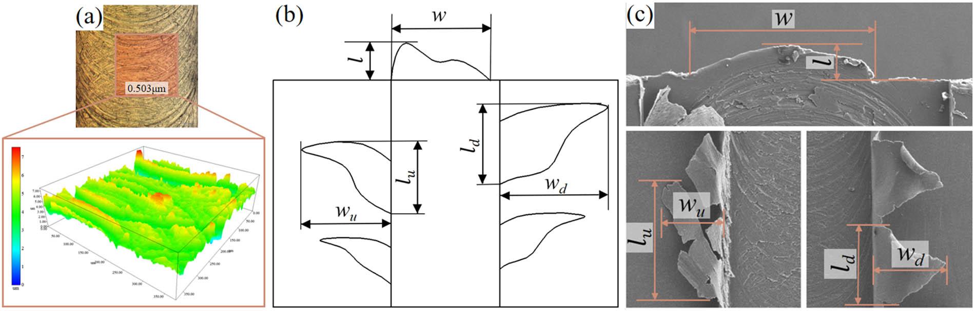 (a) Illustration of the roughness measurement by 3D LSCM. (b) Schematic of burr size on both up-milling and down-milling sides. (c) Measurement of burr size in SEM image.