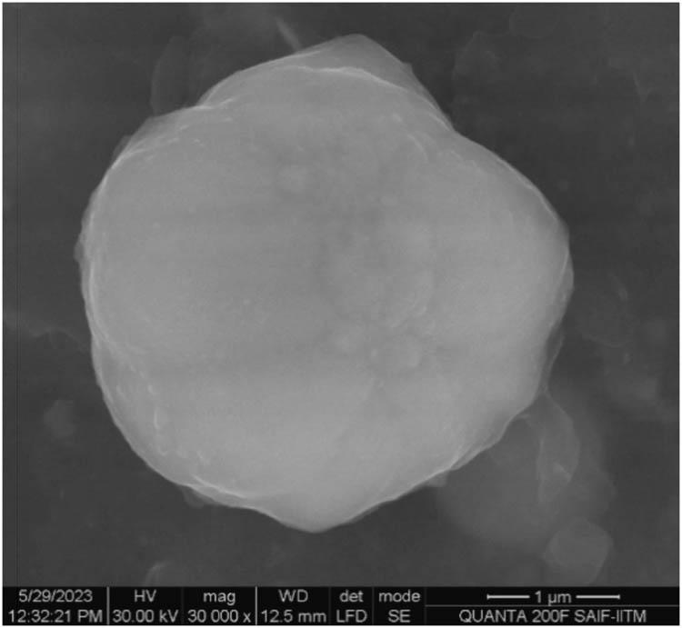 SEM image of a single particle of Inconel 825.