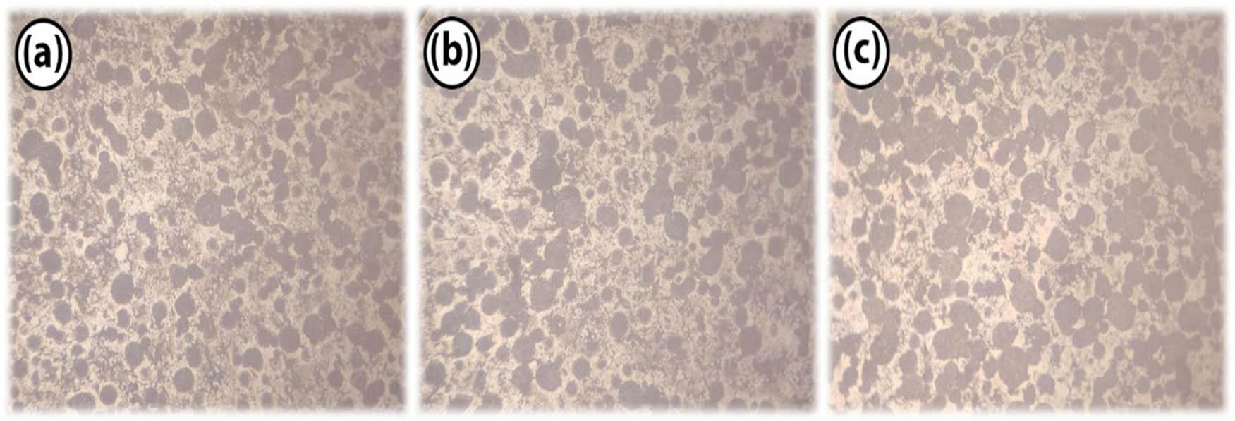 Optical metallographic image (magnification of 200×) of a powder particle sintered etched cross-section showing the microstructure of (a) uniformly mixed specimen (45 wt% Inconel–10 wt% WC–33 wt% Co–12 wt% Gr), (b) high cobalt content specimen (33 wt% Inconel–10 wt% WC–45 wt% Co–12 wt% Gr), and (c) high Inconel content specimen (90 wt% Inconel–4 wt% WC–5 wt% Co–1 wt% Gr).