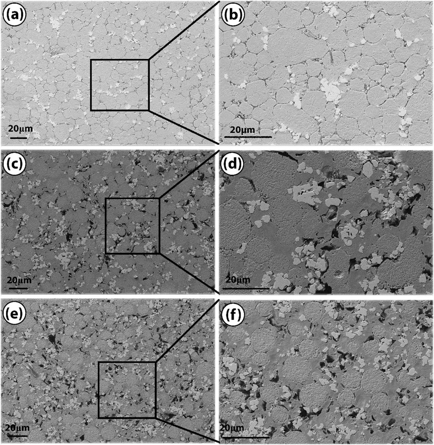 SEM of specimens for phase distribution and grain boundaries: after sintering, (a and b) 45 wt% Inconel, 10 wt% WC, 33 wt% Co, and 12 wt% graphene; (c and d) 33 wt% Inconel, 10 wt% WC, 45 wt% Co, and 12 wt% grapheme, and (e and f) 90 wt% Inconel, 4 wt% WC, 5 wt% Co & 1 wt% graphene.