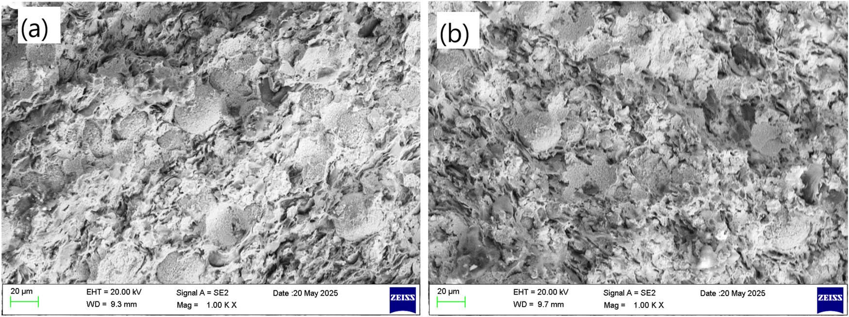 (a) SEM morphology of the fracture surface area of specimen D at room temperature. (b) Specimen D at 450°C.