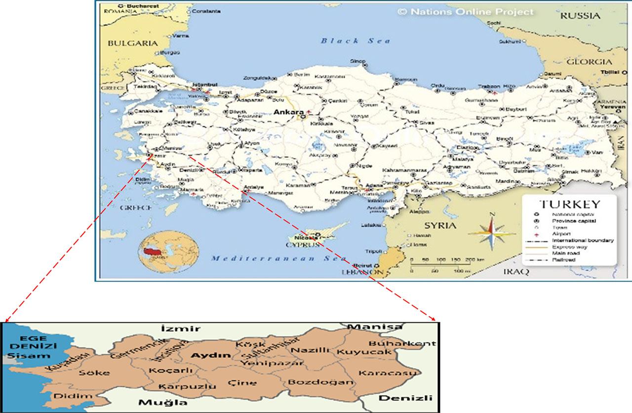 Geographical location of Turkey and Aydın province (World Map, accessed on 4 May 2022)