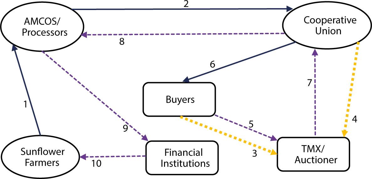 Reviewed ACX under WRS SchemeSource: adopted and modified from Molela, 2017.