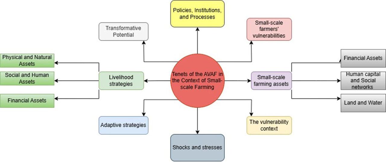 The AVAF in the context of small-scale farmingSource: own elaboration.