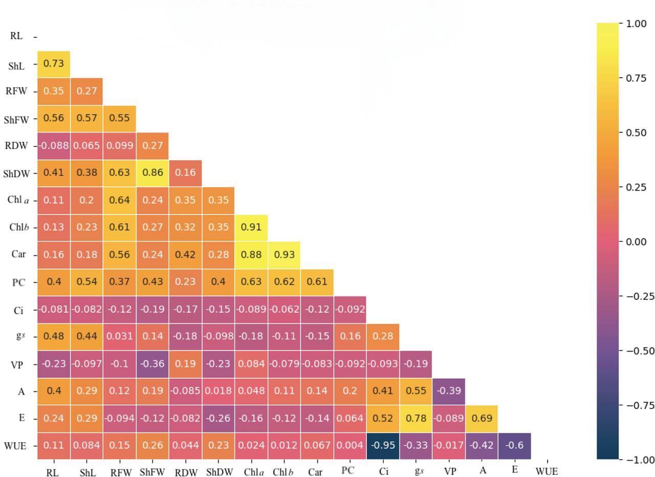 Correlation coefficients of morpho-physiologic traits of common bean across drought stress conditions (trait abbreviations are defined in Table 2)Abbildung 4. Korrelationskoeffizienten morphophysiologischer Merkmale der Gartenbohne unter verschiedenen Dürrestressbedingungen (Merkmalsabkürzungen sind in Tabelle 2 definiert)