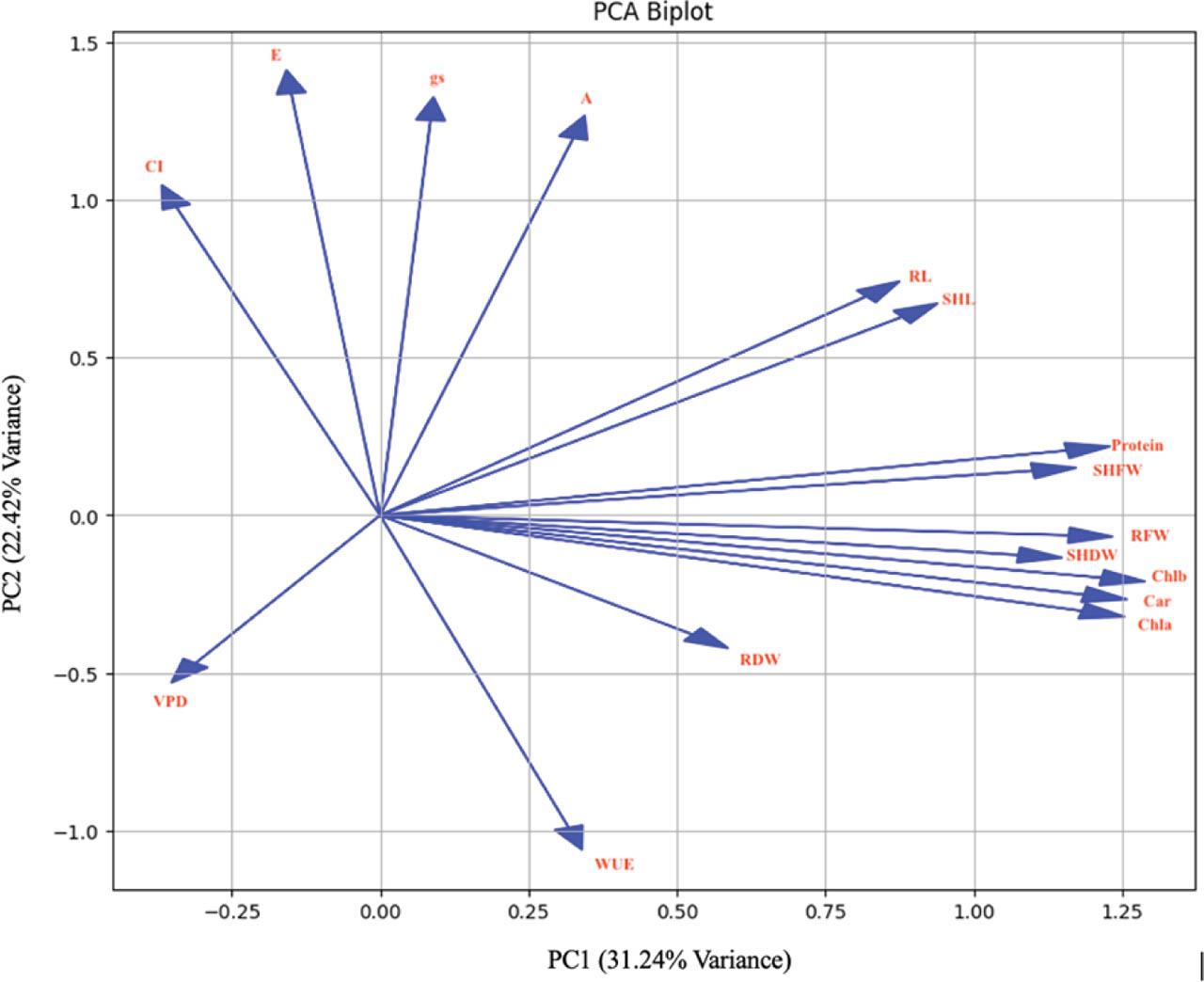PCA for morpho-physiologic parameters of common bean across drought stress conditions (trait abbreviations are defined in Table 2)Abbildung 5. PCA für morphophysiologische Parameter der Gartenbohne unter Trockenstressbedingungen (Merkmalsabkürzungen sind in Tabelle 2 definiert)