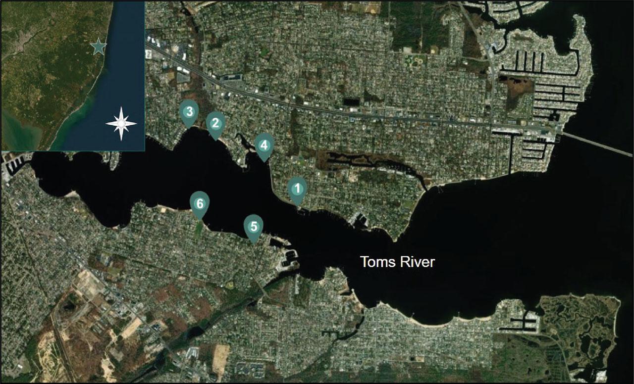 Six study sites utilized in the preliminary study (2021–2022) that identified bacteria-containing sea foams in the Toms River, NJ (northern Barnegat Bay, Table 1). Mapping was performed using the ArcGIS software.