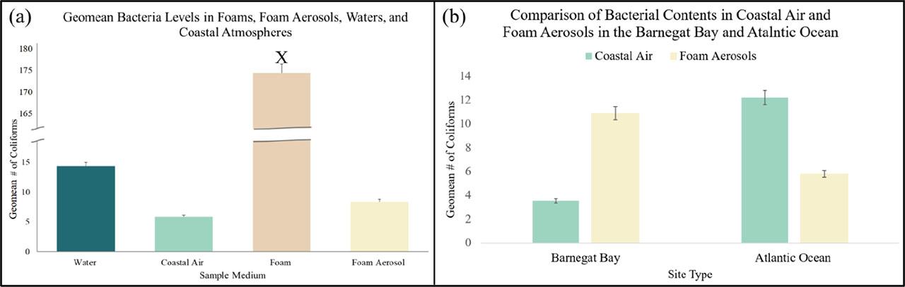 (a,b). (a) Geomean bacterial levels found in all sample types collected from 19 November 2022 to 11 December 2022; foams (X) contained significantly higher amounts of bacteria compared to their aerosol, water, and coastal atmospheric counterparts (P < 0.001, Water: 14.3 ± 16.9; Coastal Air: 5.8 ± 6.3; Foam: 177.7 ± 151.7; Foam Aerosol: 8.4 ± 2.8, ± 0.05, n = 75). (b) Barnegat Bay sites had significantly higher bacterial concentrations in foam aerosols than in their surrounding coastal atmospheres (P = 0.0152, Coastal Air: 3.5 ± 6.8; Foam Aerosol: 15.4 ± 10.8), while Atlantic Ocean sites had higher coastal air Coliform counts than in their respective foam aerosols (P = 0.1915, Coastal Air: 12.2 ± 17.0; Foam Aerosol: 5.8 ± 3.2, ± 0.05, n = 60).