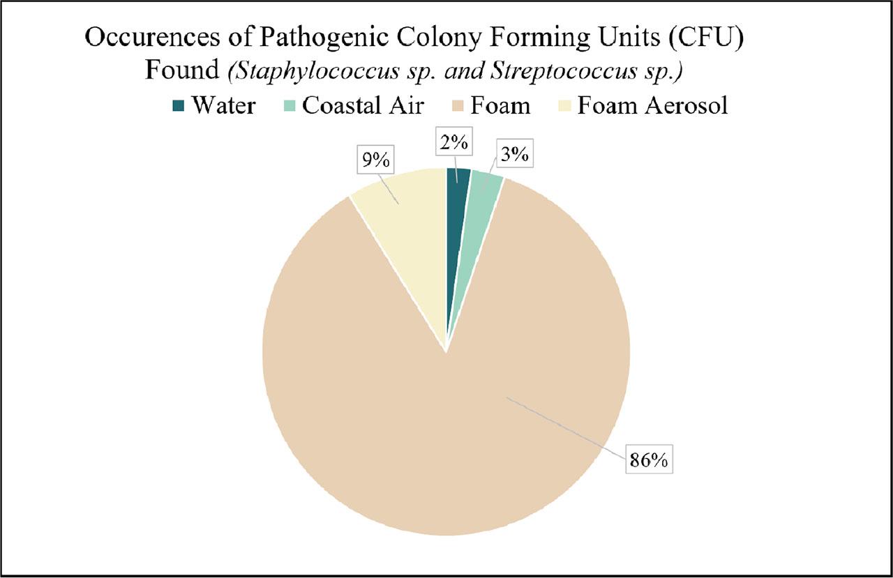 An analysis of the potential identifications of respiratory harming, pathogenic Staphylococci and Streptococci genera. Respiratory harming bacteria represented themselves in mostly foam samples (86% of all Staphylococci and Streptococci bacteria were found in foams). The remaining 9% occurrence of pathogenic bacteria that were found in aerosols suggest that foams can successfully pass these genera to airborne conditions.