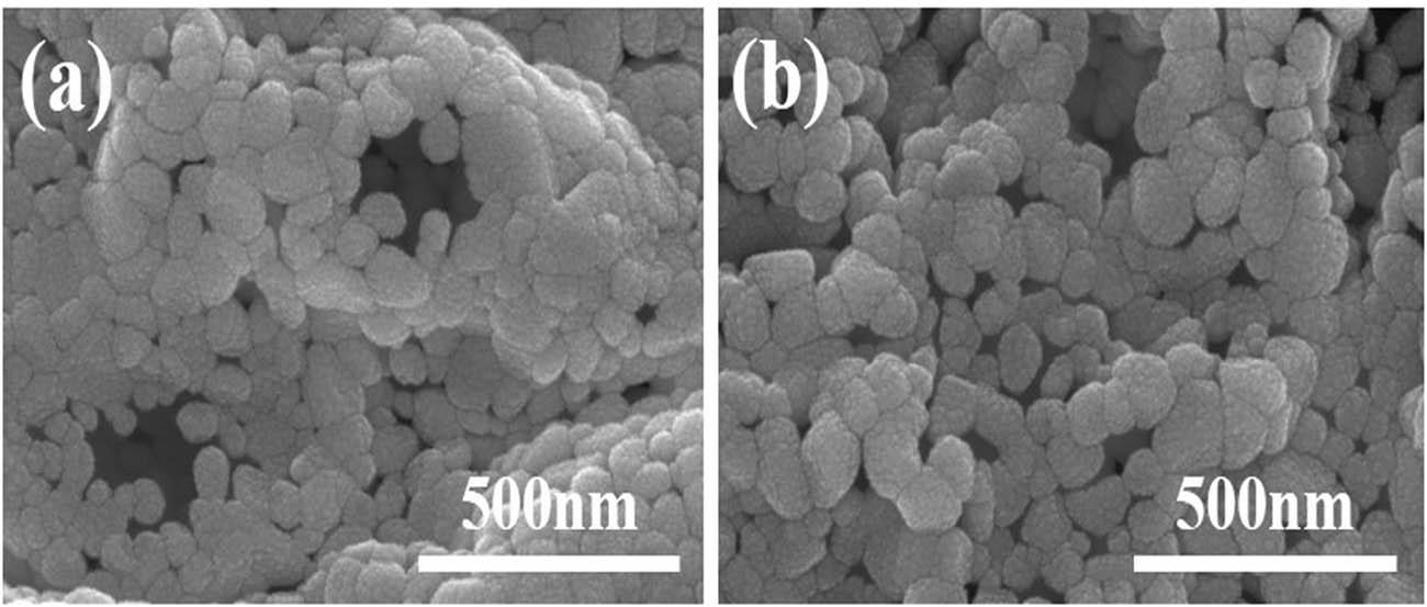 SEM images of the precursors before and after adding ethylene glycol: (a) H/CA = 0.5 and (b) EG/CA = 0.5.
