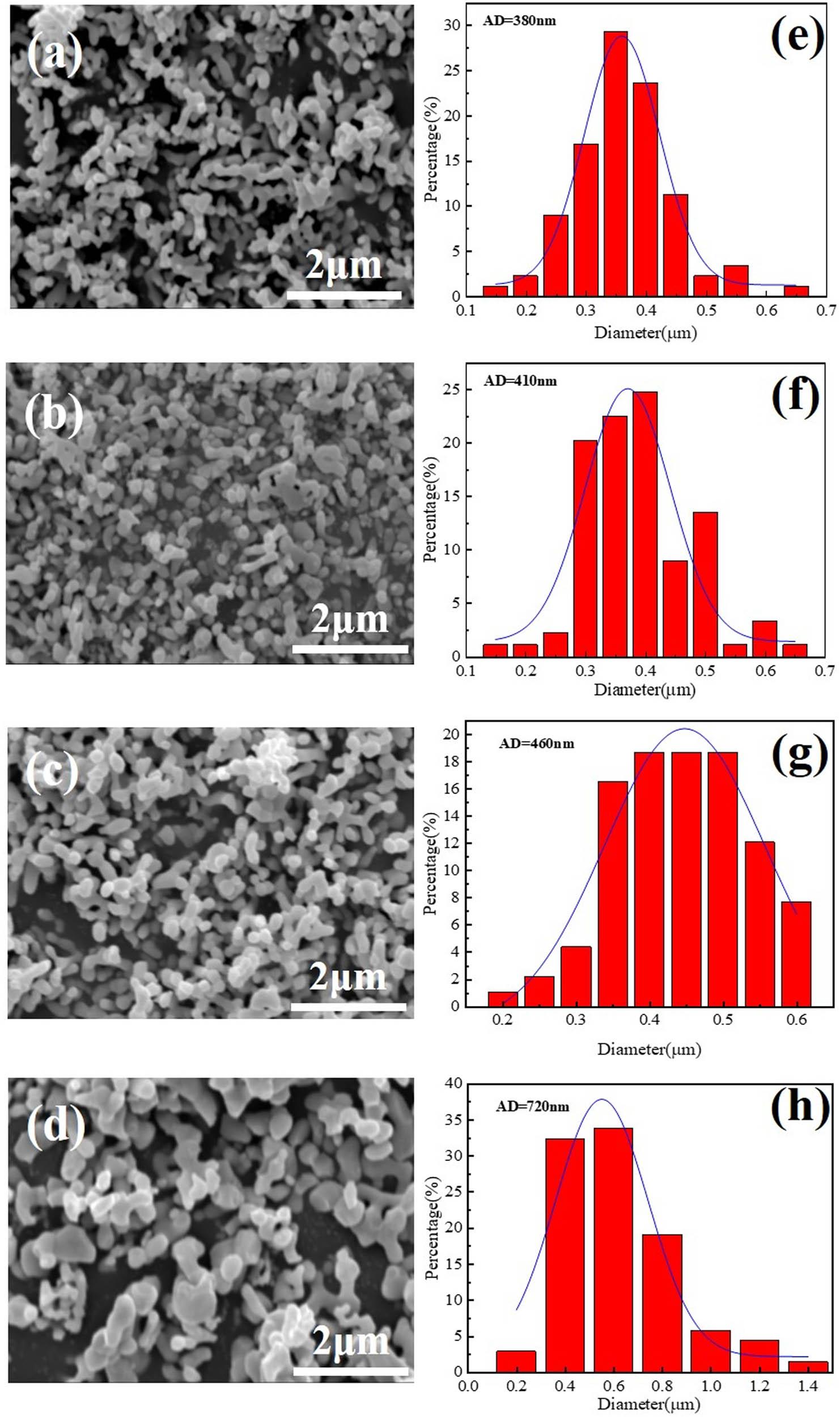 SEM images of the pigments with different EG/CA and particle size distribution maps: (a)–(d) EG/CA = 0.5, 1.0, 1.5, and 2.0; (e)–(h) EG/CA = 0.5, 1.0, 1.5, and 2.0.