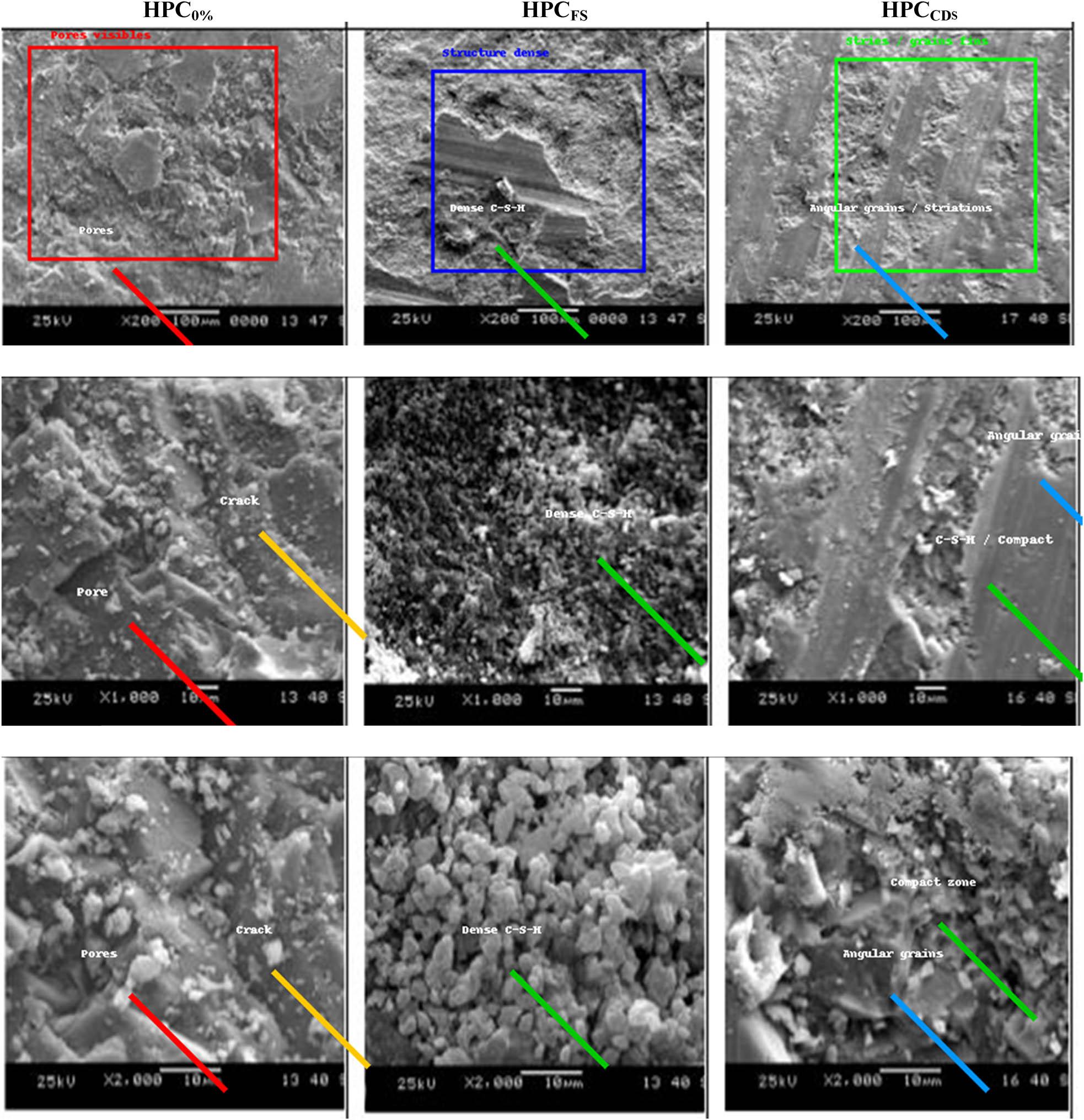 Microstructural analysis of the reference HPC as well as those of HPCs including additions (SF and CDS).
