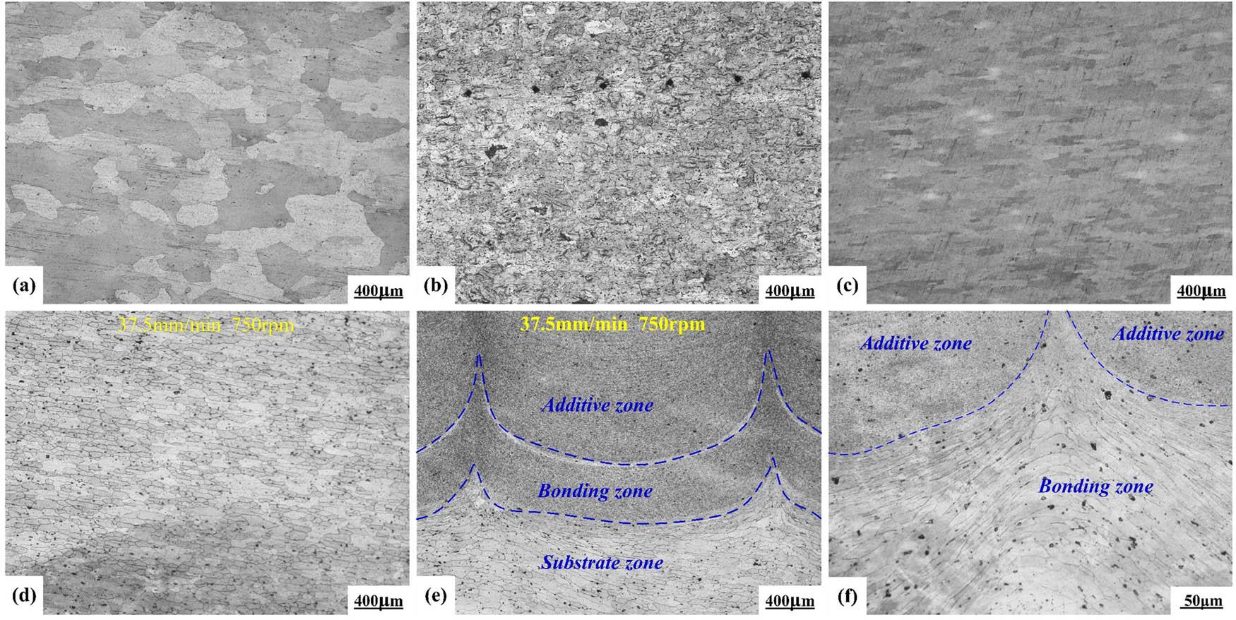 Photomicrographs of FSSAM samples before and after additive manufacturing. (a) Original substrate plate, (b) substrate zone, (c) original additive material sheet, (d) additive zone at 37.5 mm/min and 750 rpm, (e) bonding zone at 37.5 mm/min and 750 rpm, and (f) differences in grain size across different zones.