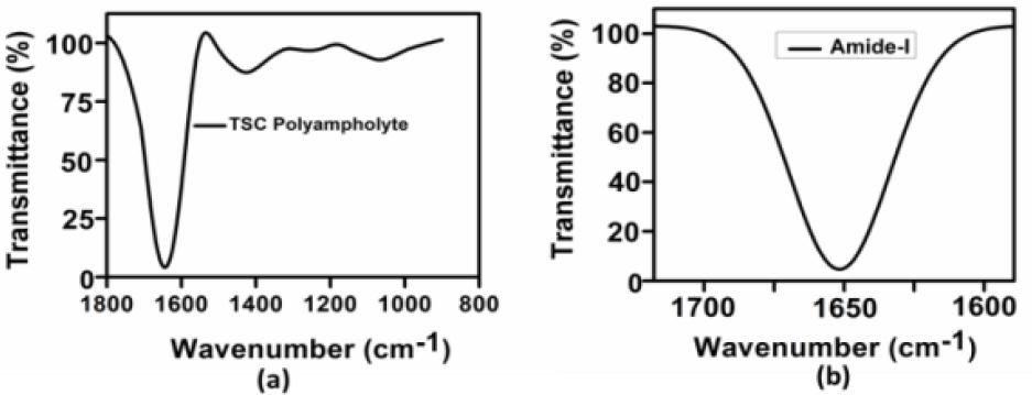 Characterization of TSC polyampholyte (a) IR spectra of the TSC Polyampholyte the representative of the IR absorbance spectra of the TSC Polyampholyte (b) The amide-I band region (~1600-1700 cm−1)