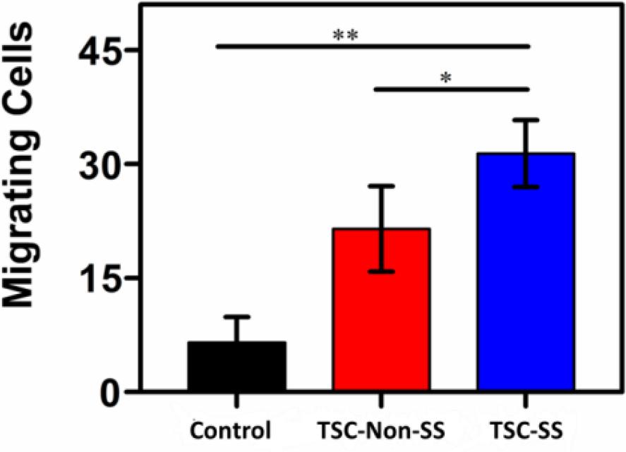 Cell migration quantification of TSC polyampholyte