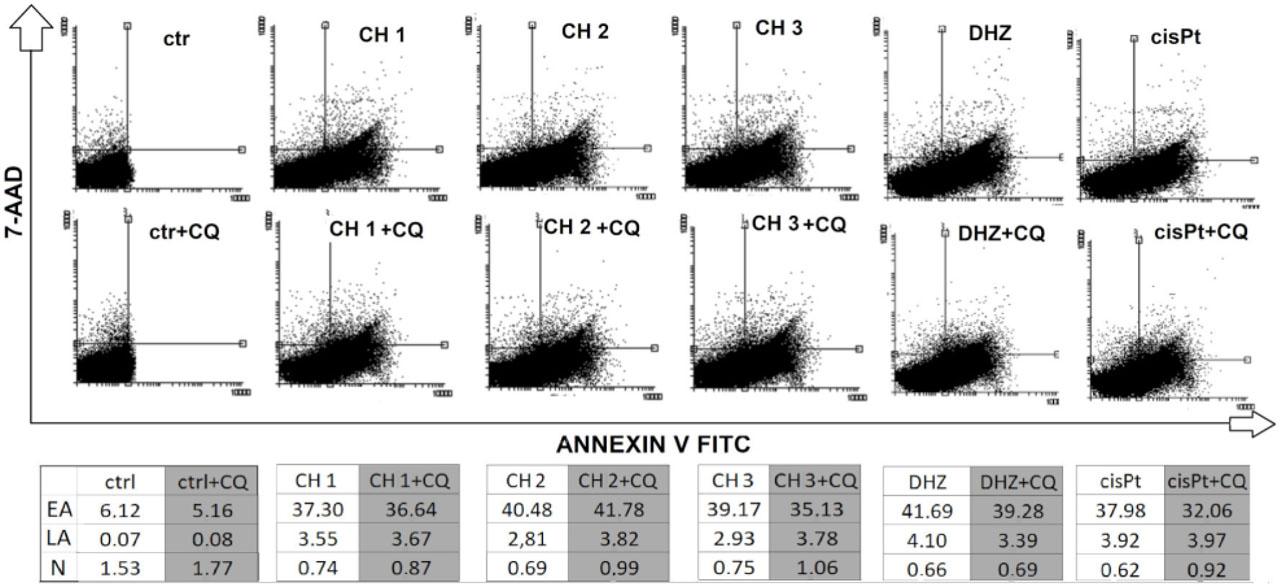 Effects of CH analogues on apoptosis and autophagy in HeLa cells. Flow cytometry analysis of Annexin V-FITC/7-AAD stained HeLa cells after 48 h of the treatment with CH, DHZ, cisplatin and co treatment with CQ.