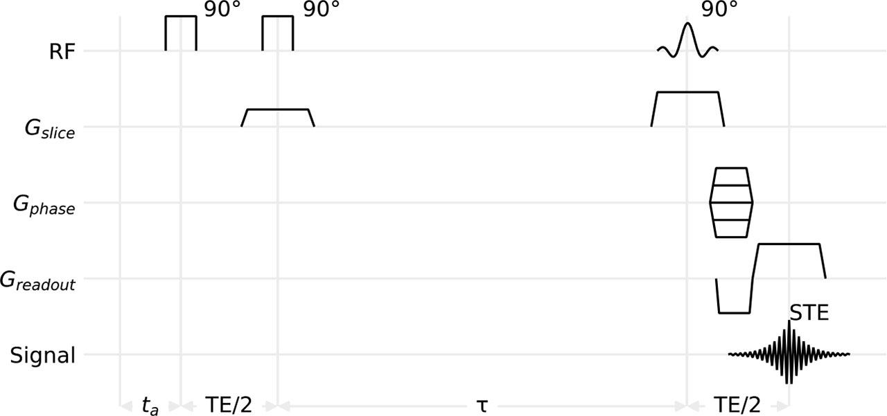 Schematic drawing of the imaging sequence for mapping time-dependent magnetic field changes induced by an arbitrary sequence of gradient pulses. Greadout – reading gradient, Gphase – phase encoding gradient, Gslice – slice selective gradient, RF – radiofrequency pulses, Signal – acquisition, τ – time interval used to minimize residual effects of eddy currents induced by the gradient during the second excitation pulse.
