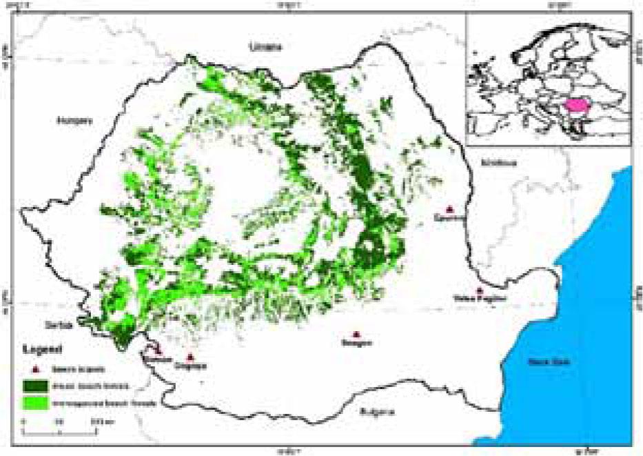 Map of the Romanian beech forests and positions of five study zones (Valea Fagilor, Gogoşu, Stârmina, Epureni, and Snagov forests) (Gancz et al. 2008) modified