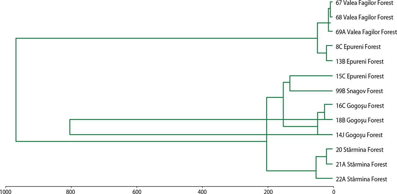 The similarity degree between 13 plots presents in the five study areas from the point of view of biological structural parameters (using the MVSP program)