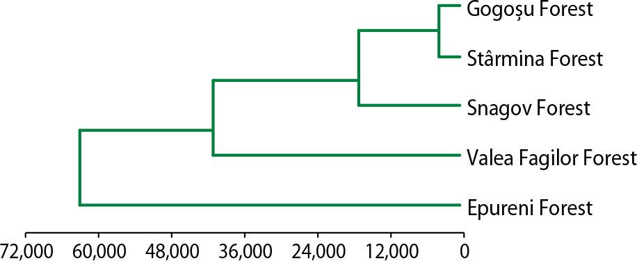 The similarity degree between the five forests from the climate point of view (using the MVSP statistics program)