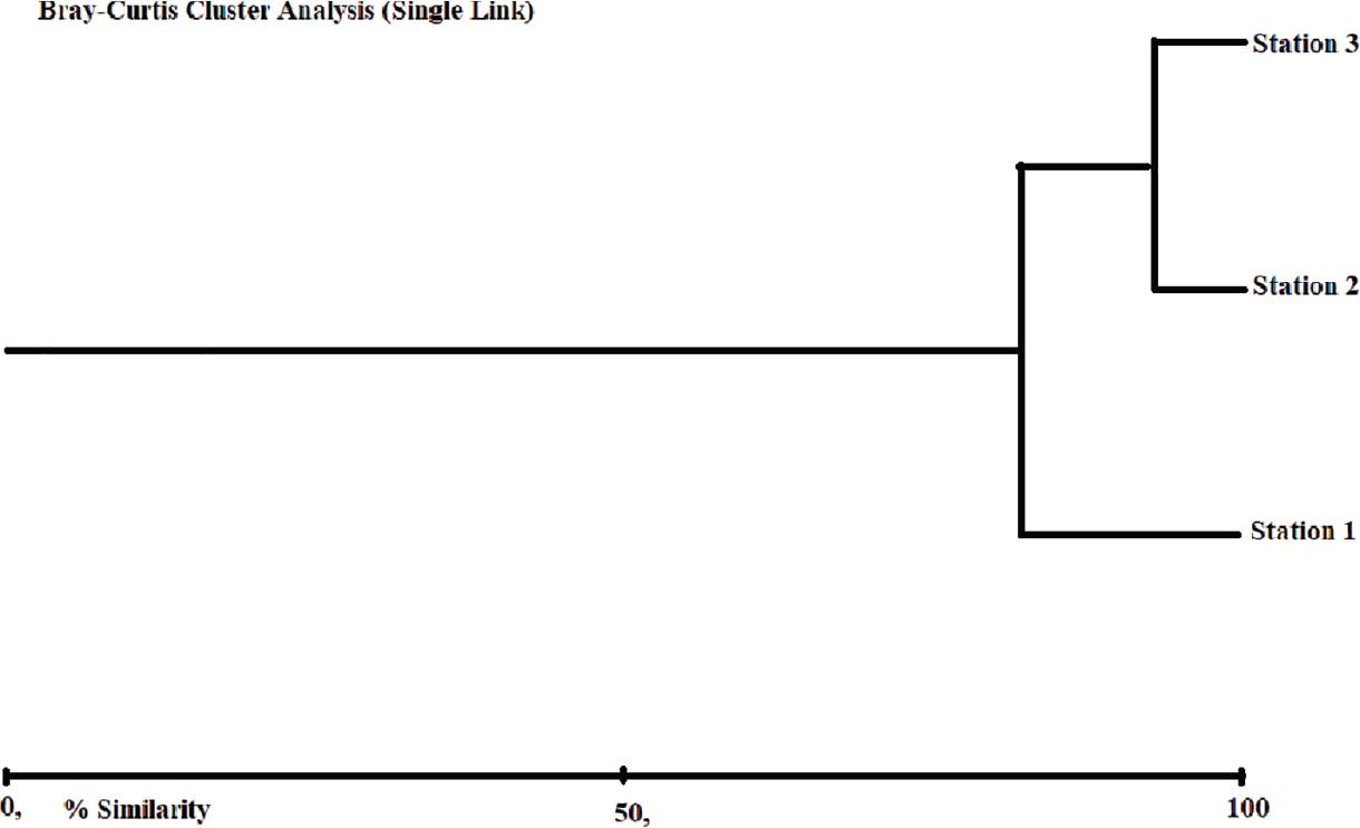 The similarity dendrogram of the stations according to physicochemical features.