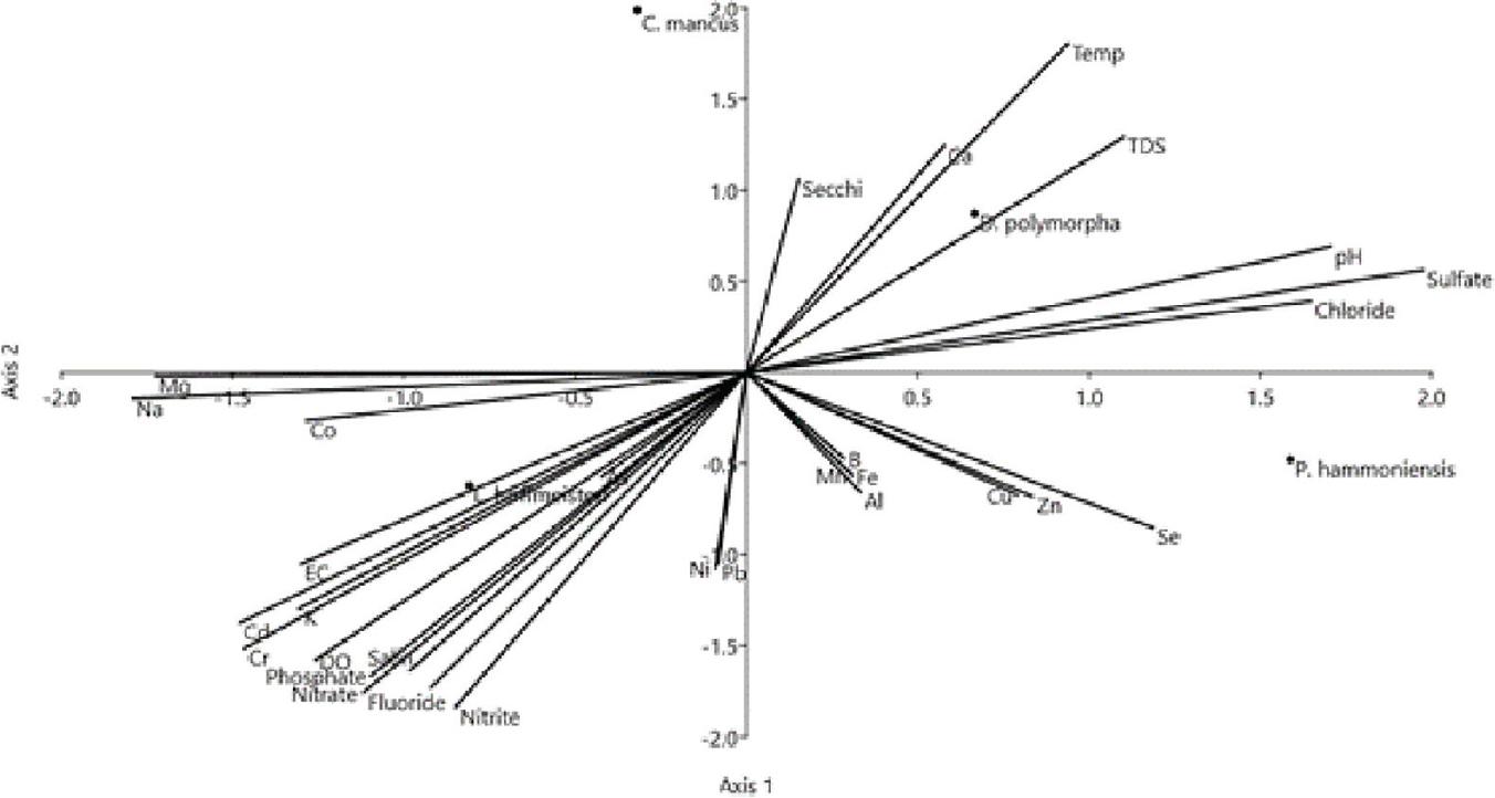 CCA between physicochemical variables and benthic macroinvertebrate taxa. CCA, canonical correlation analysis.