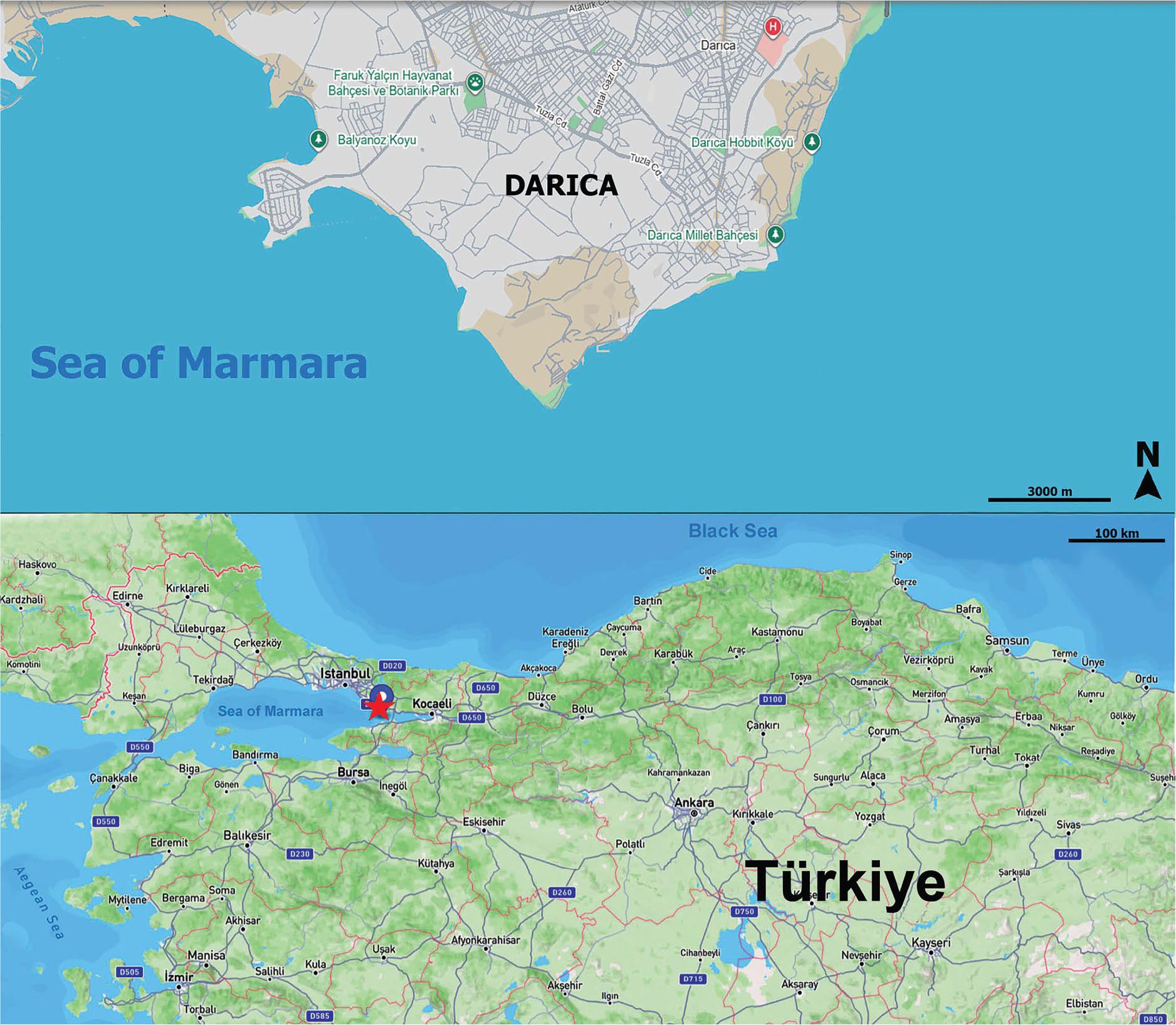 Sampling area from the Darıca coast in the Sea of Marmara (Türkiye).