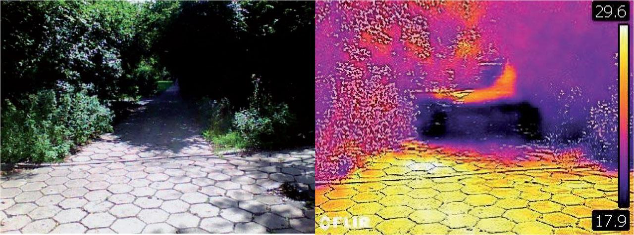 Infrared (right), and RGB (left) picture, taken down one of the paths in the Wilanów ParkSource: own elaboration.