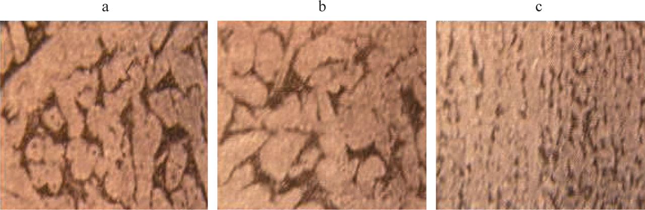Microstructure of the internal layers of the duraluminum string (magnification ×100): a – beginning of the string; b – middle of the string; c – end of the stringSource: own elaboration.