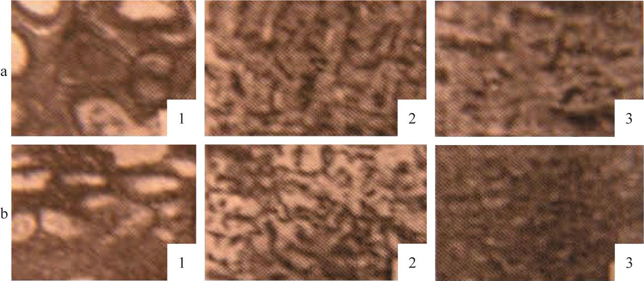 Microstructure of different sections of the duraluminum string extruded without grease (magnification ×250): a – surface of the rod; b – middle of the rod (1 – beginning of the string; 2 – middle of the string; 3 – end of the string)Source: own elaboration.