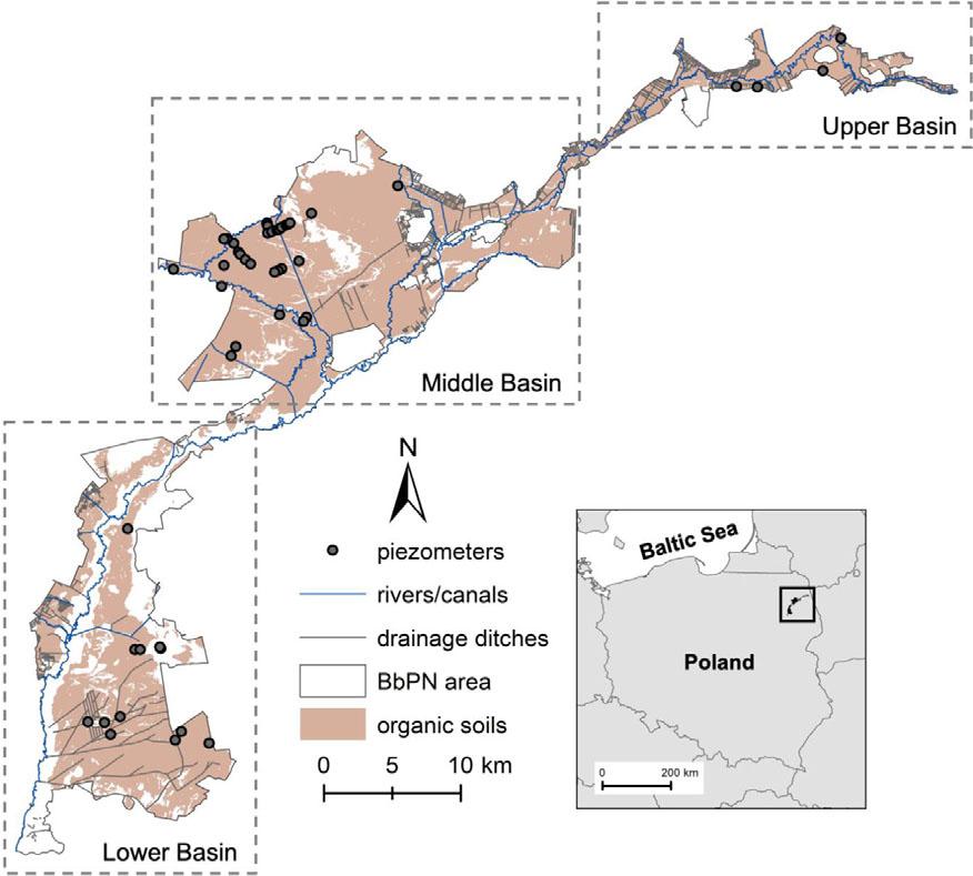 Map of the Biebrza National Park with hydrological network and locations of the piezometers
Source: own work.