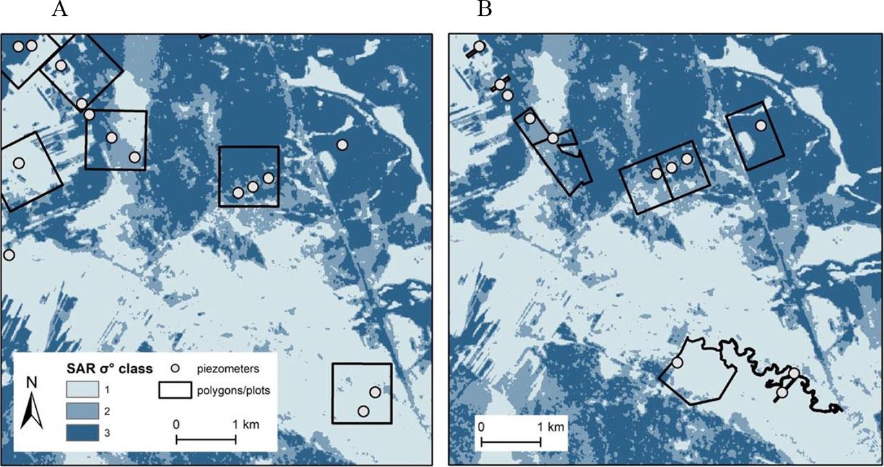 Maps showing 100-hectare polygons (A) and the Biebrza National Park plots (B) with a synthetic aperture radar backscatter coefficient raster layer as a background
Source: own work.