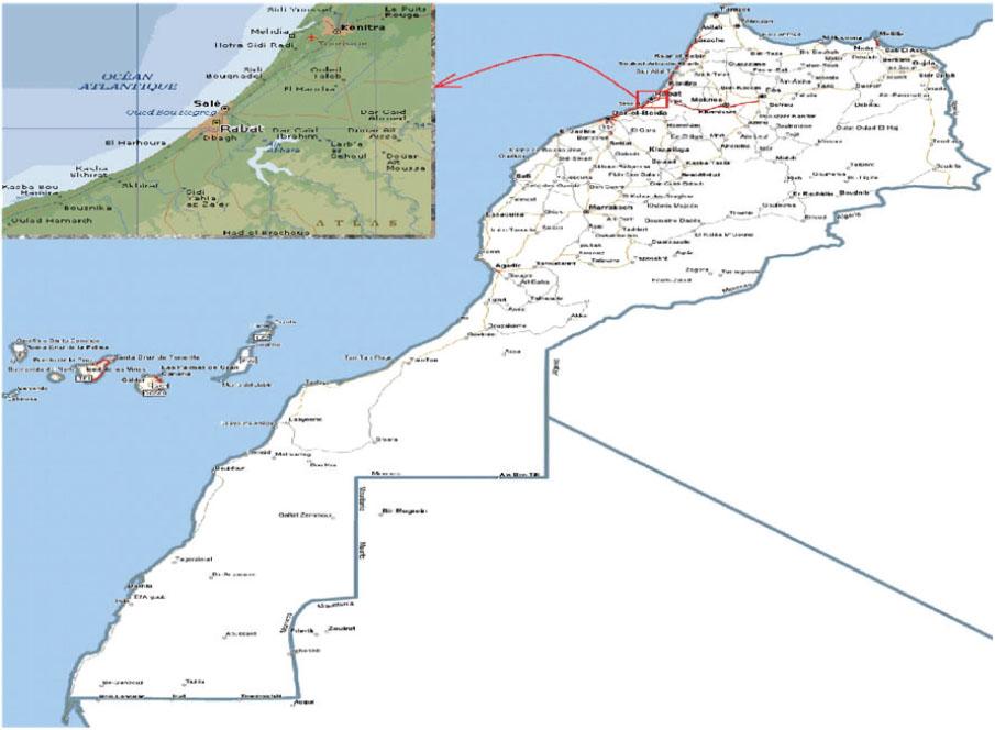 Geographical location of the city of Salé
Source: own work.