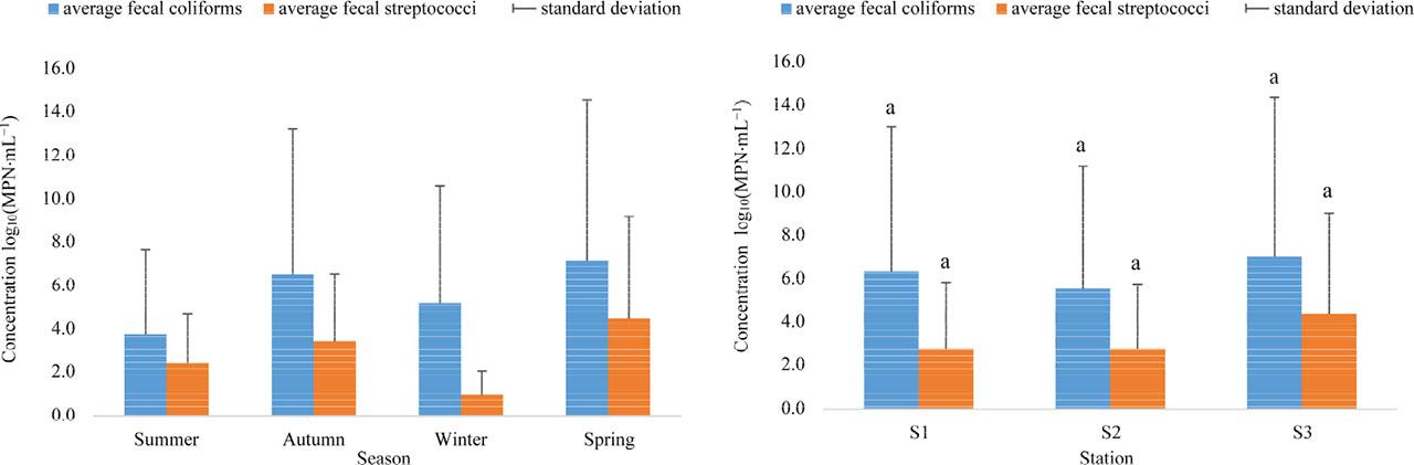 Seasonal averages of fecal pollution indicators from stations S1–S3: pre- and post-WWTP installation
Source: own work.