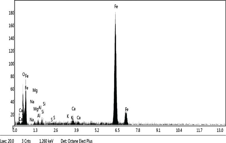 EDS spectrum of iron powder
Source: own work.