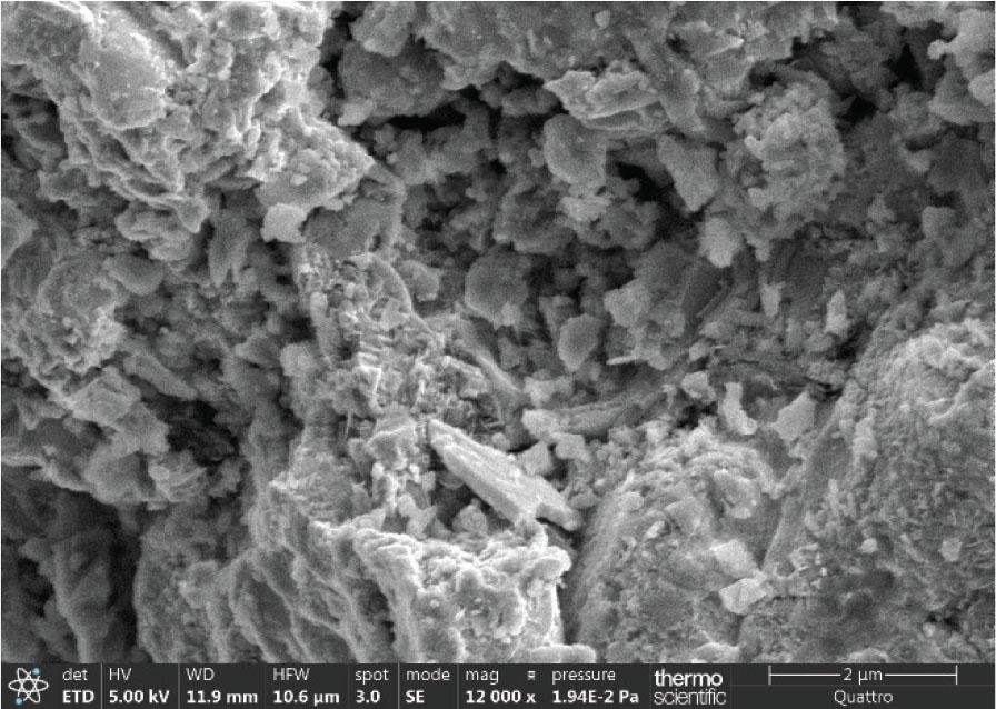 SEM image of iron powder
Source: own work.
