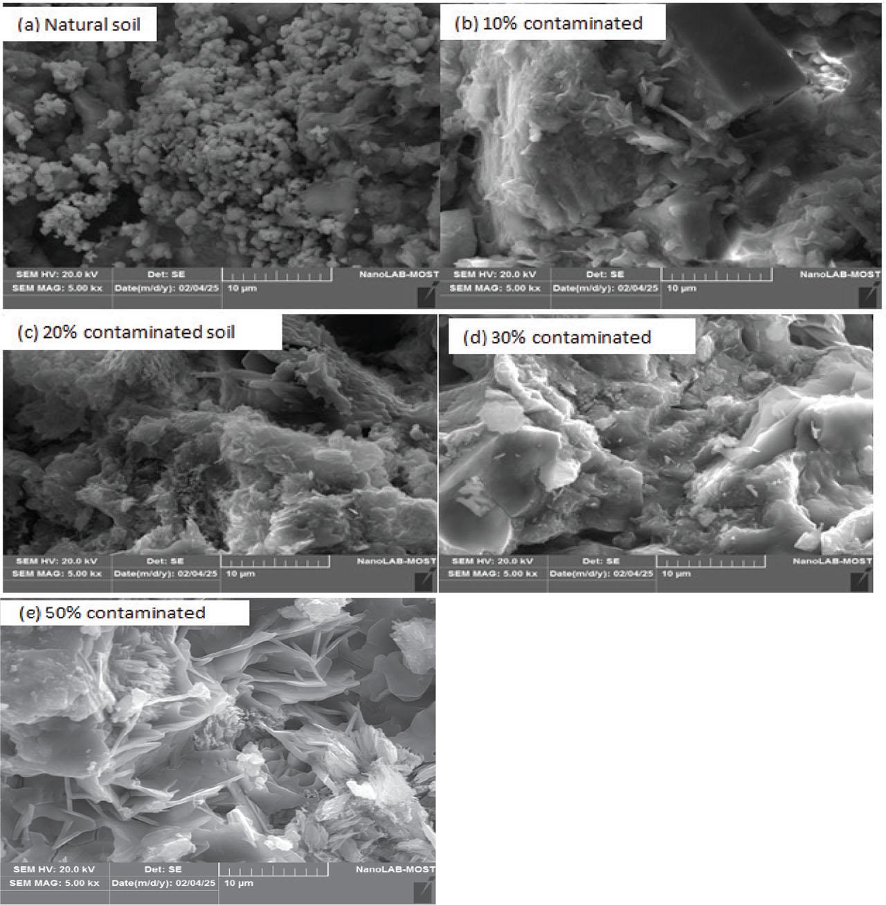 SEM images of lay interacting with (a) natural soil, (b) 10% H2SO4, (c) 20% H2SO4, (d) 30% H2SO4, and (e) 50% H2SO4
Source: own work.