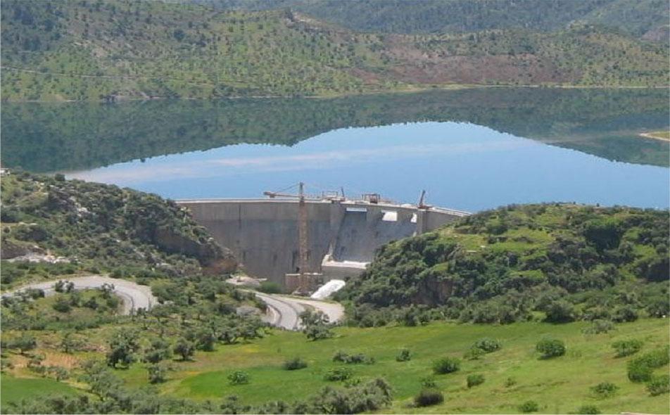An arch of the Tichy-Haf Dam
Source: Algerian National Agency of Dams and Transfers (ANBT).