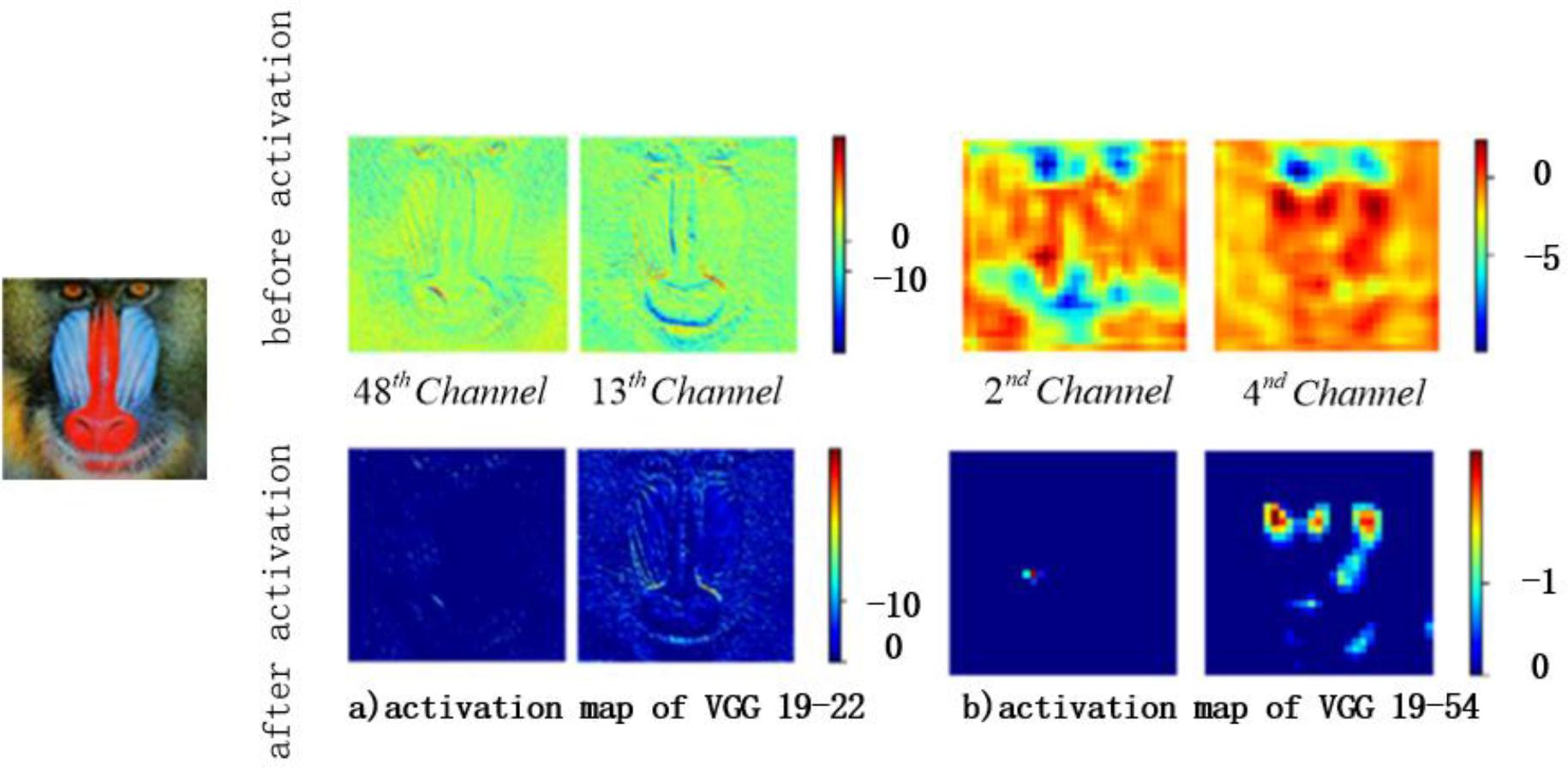 Representative feature maps before and after activation