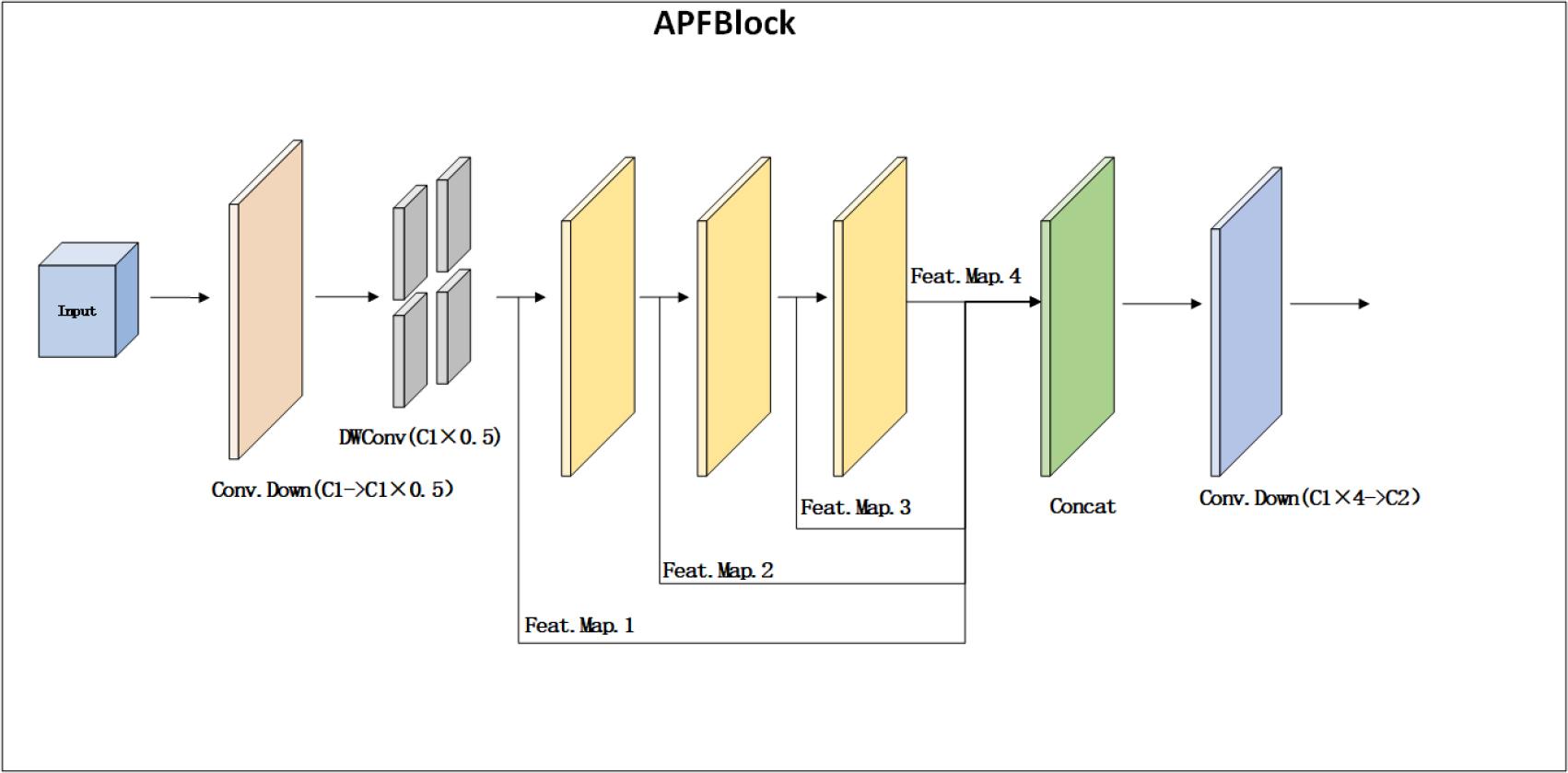 APFBmodel structure