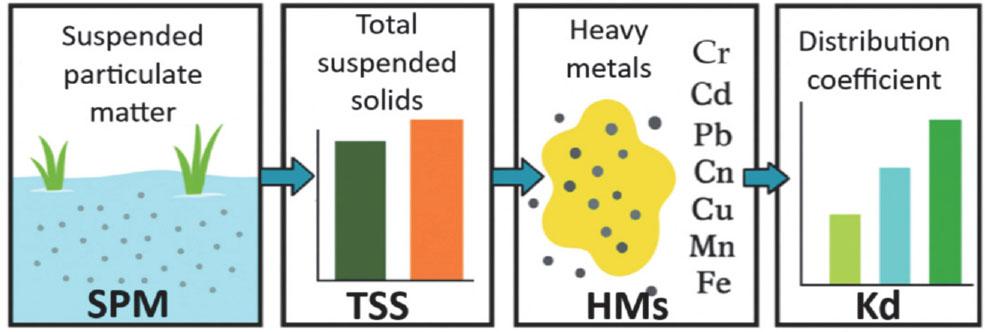 The distribution of heavy metals and the general scheme of this study
Source: compiled by the authors using AI graphical tools.